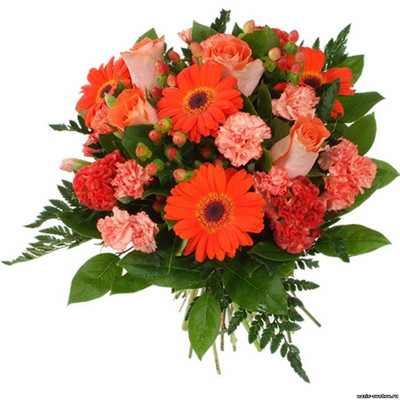 Цветы к празднику от Флорист-Экспресс