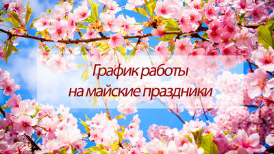 Сколько компаний из Омской области работали на майские праздники