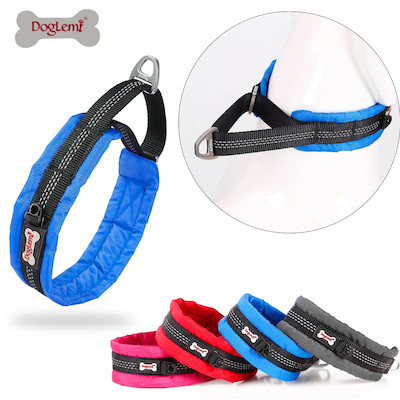 Прочитать публикацию «Особенности и применение мартингейлов для собак» Особенности и применение мартингейлов для собак