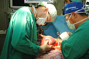 Омские врачи освоят операции по пересадке поджелудочной железы и печени