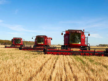 В Омской области планируют собрать более 3 млн тонн зерна