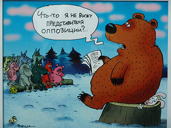 В Омской области молодой медведь «съел» камеру для наблюдения за животными