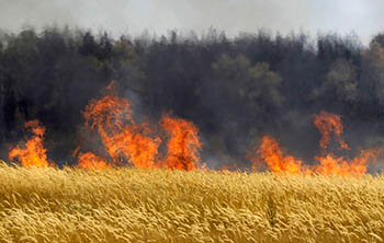 У крестьянина из Омской области сгорело 20 тонн сена