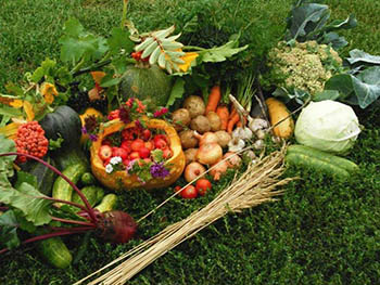 В Омске пройдет первый фестиваль урожая «Бабье лето»