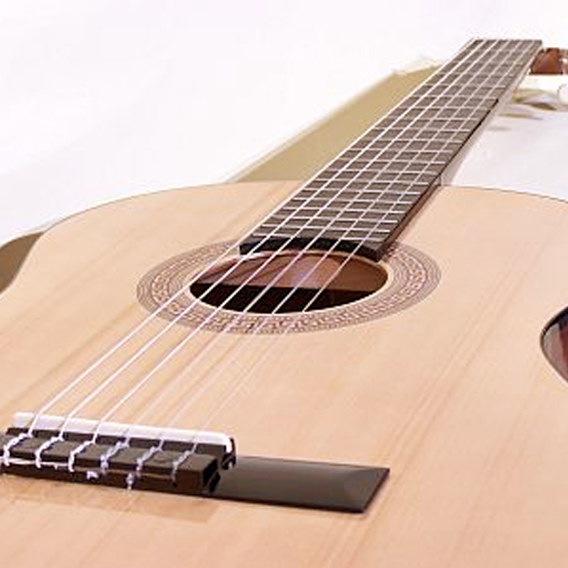 Акустическая гитара Hohner HC-06 (Обзор)
