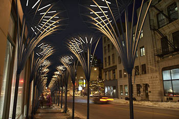 Скоро улицы Нью-Йорка будут освещать пальмы (фото)