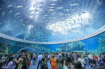 Самый большой аквариум в Европе ждет гостей