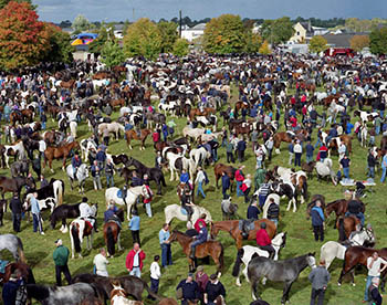 Puck Fair, фестиваль коронования козла в Ирландии