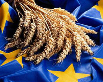 ЕС нам пока не рад: где больше всего ждут украинские товары, — мнение
