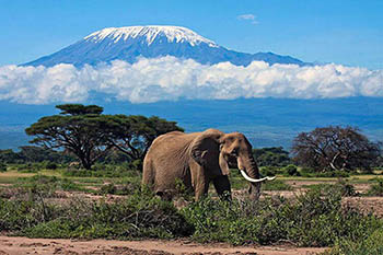 Килиманджаро – в Африке тоже есть где охладиться